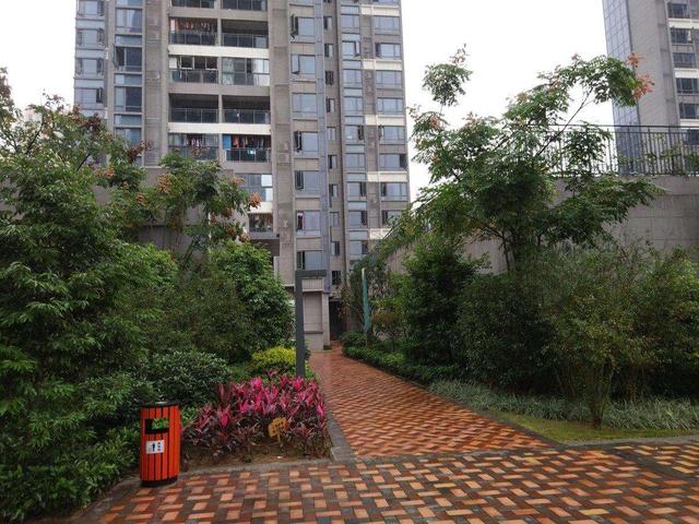 租商铺做生意一定要小心的坑,商铺投资到底难不难