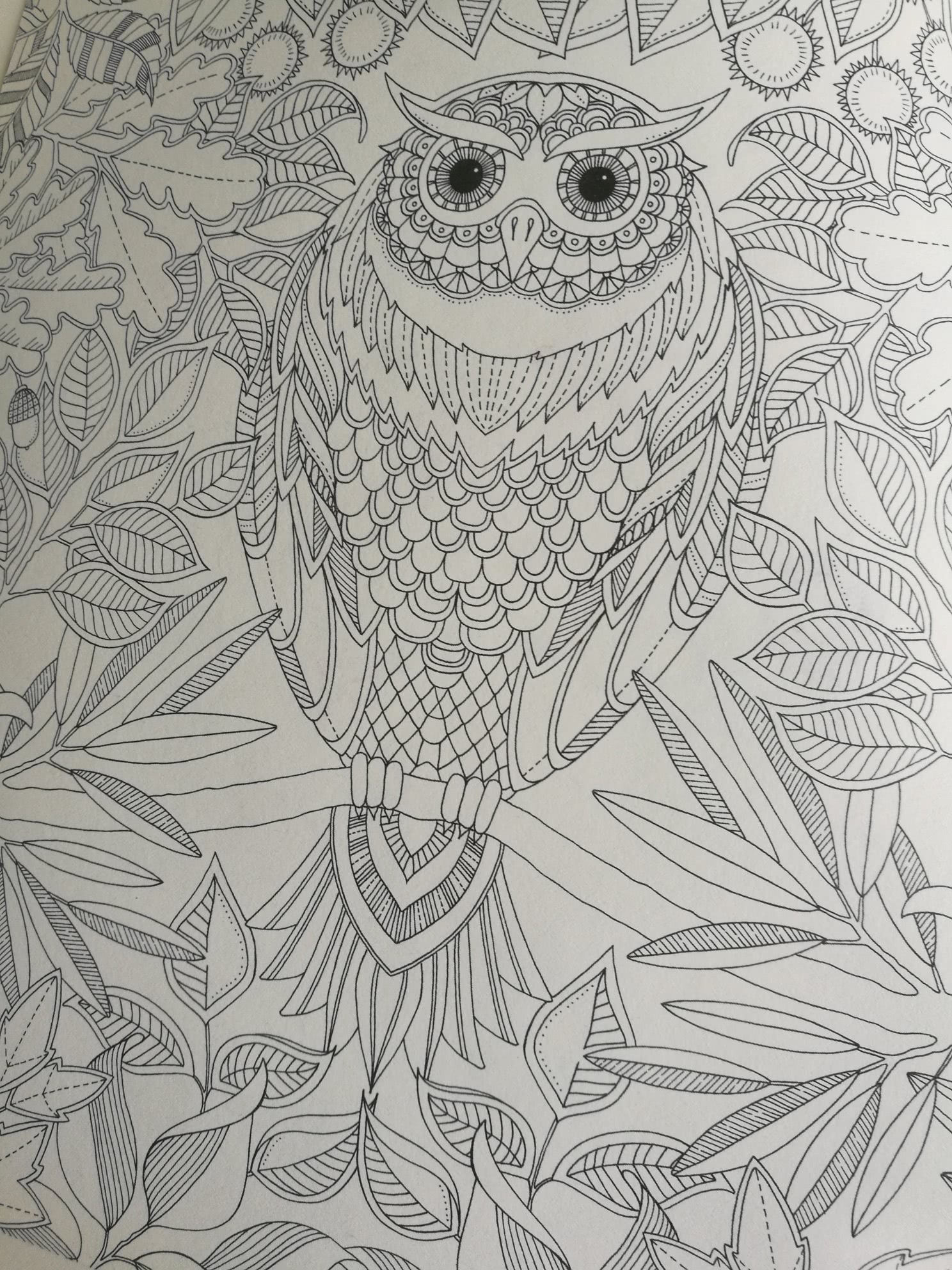 秘密花园绘画本全部涂完的图片,秘密花园水彩涂色书