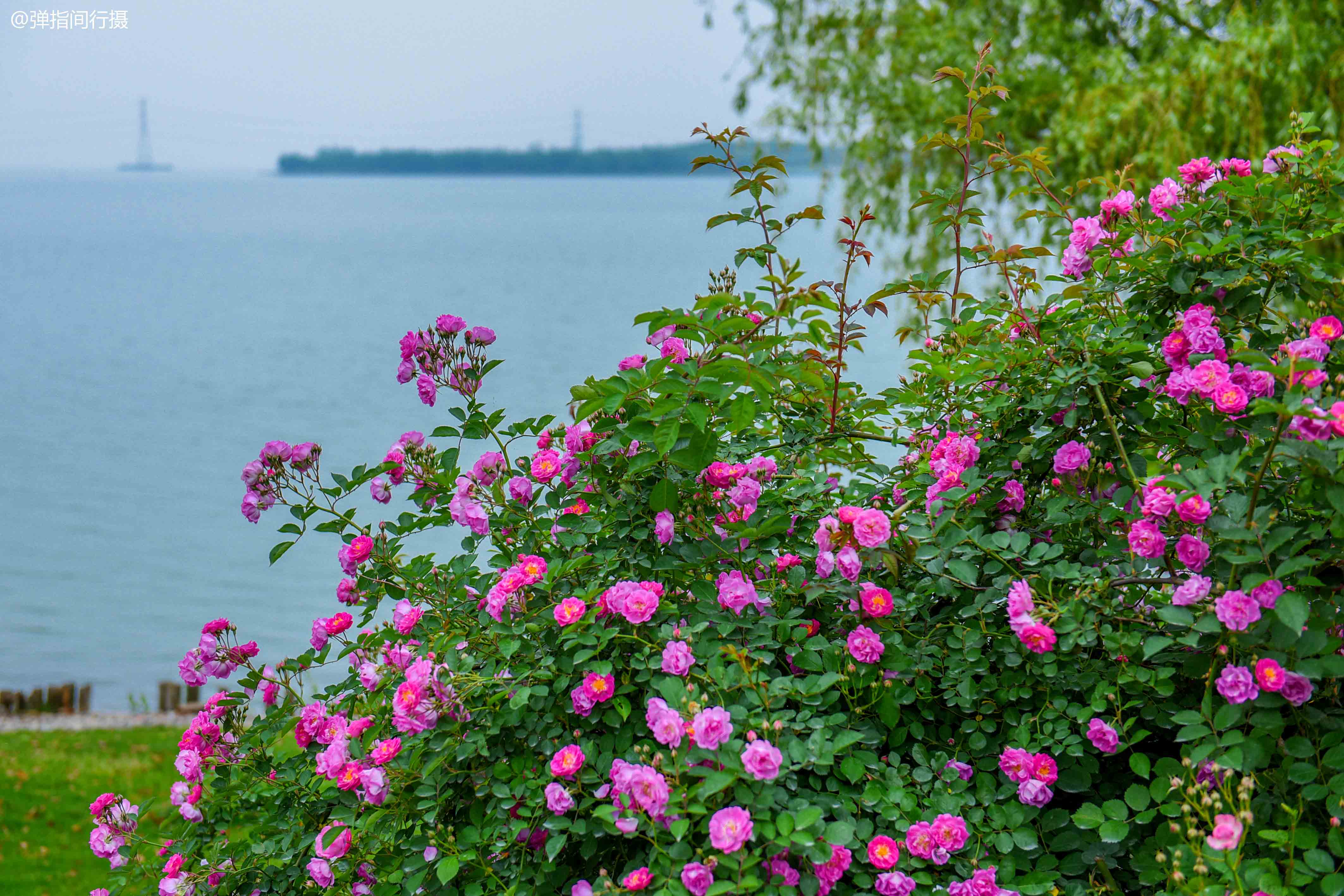 江苏靠近上海的后花园,苏州太湖新城南京江北买房