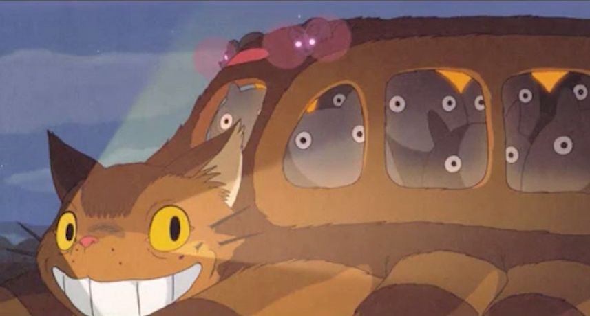 龙猫可怕的真相,龙猫事件真相揭秘