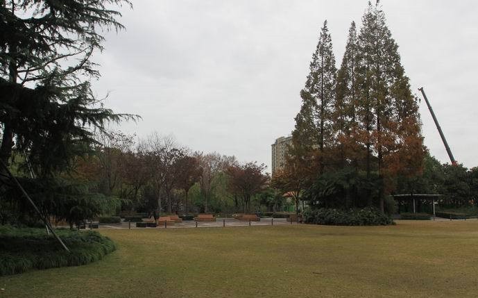 雨后的公园空气清新心情舒畅,雨后的公园清新亮丽