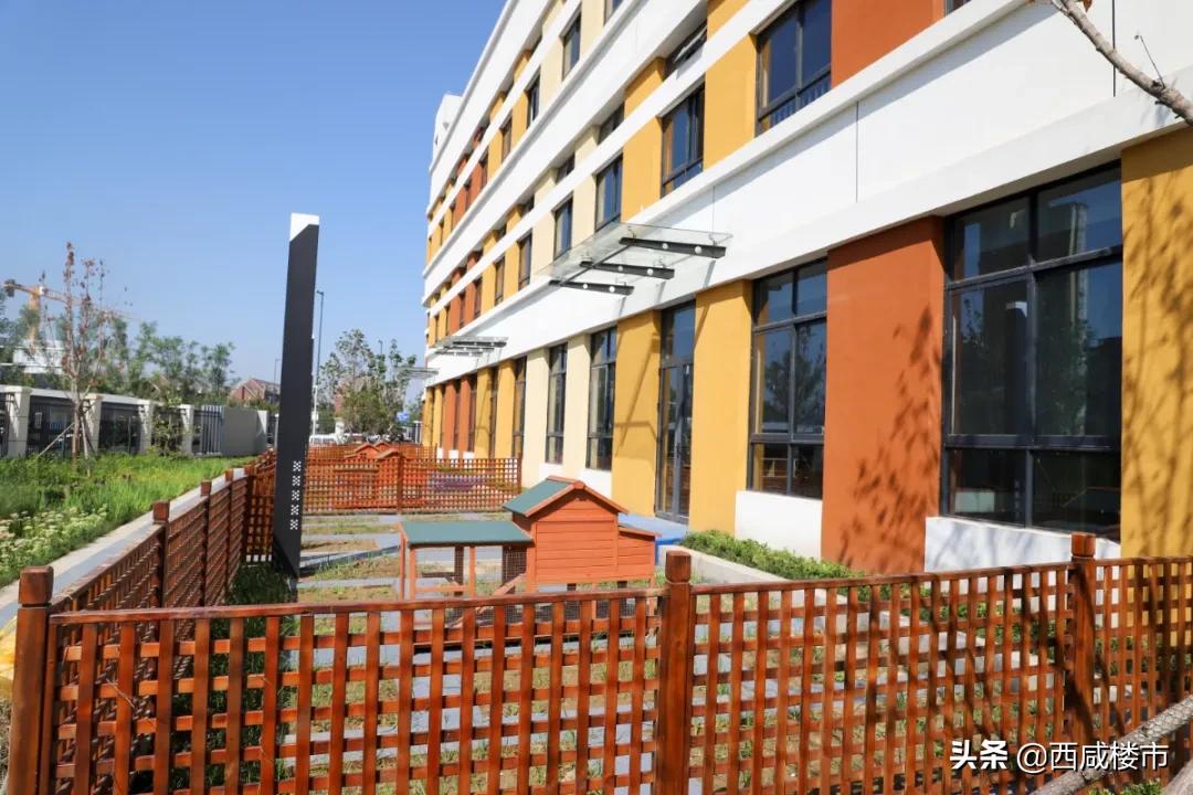 新增的231个学位是什么,5年内新增438万公办学位