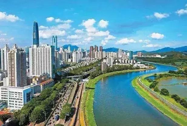 “遇上大湾区,遇上了创业的好时机”——香港青年逐梦深港科技创新合作区