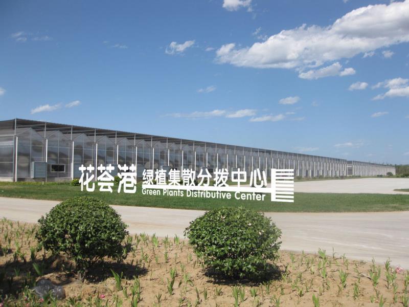 新发地疫情爆发一个月后,北京花市现在怎么样了?