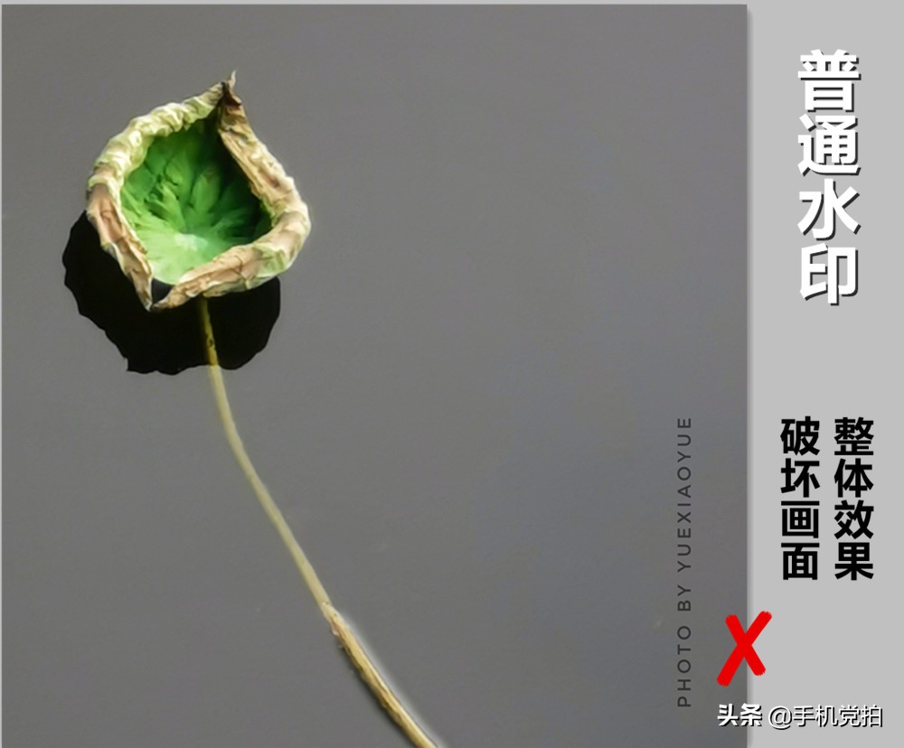 怎样给照片弄上水印,苹果手机怎么给照片添加时间水印