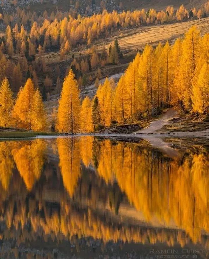 摄影怎么拍出物品倒影,摄影基础影像知识