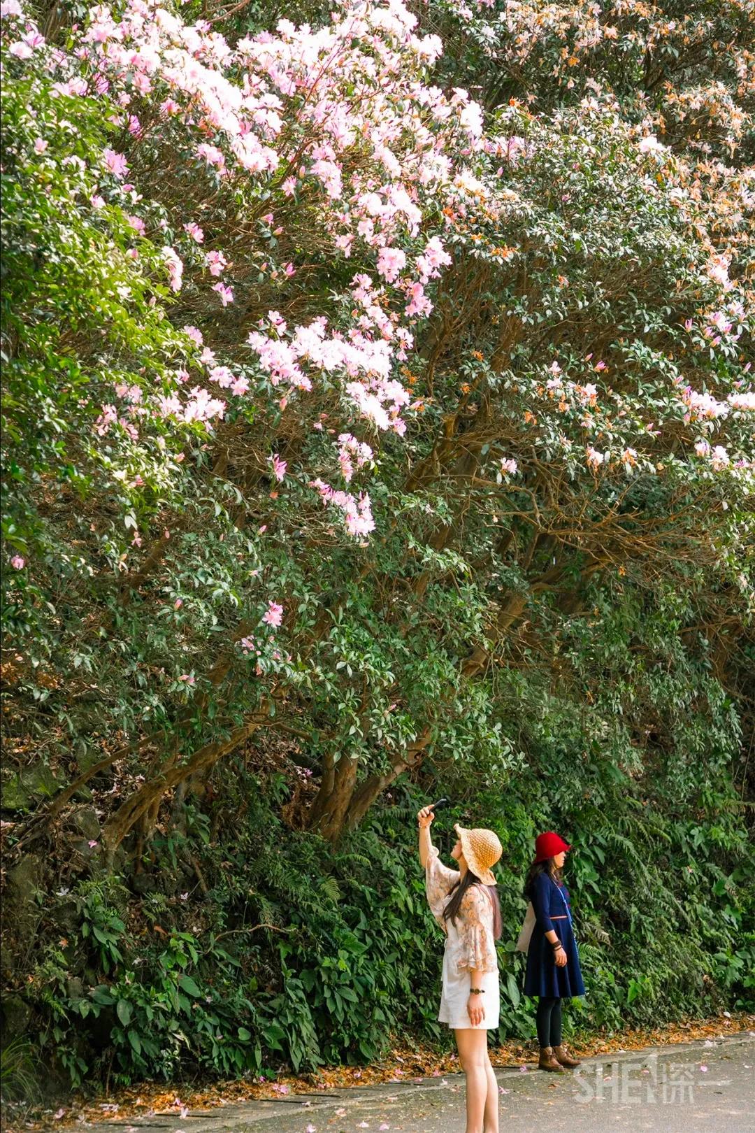 深圳值得打卡的建筑物,深圳最值得打卡的山