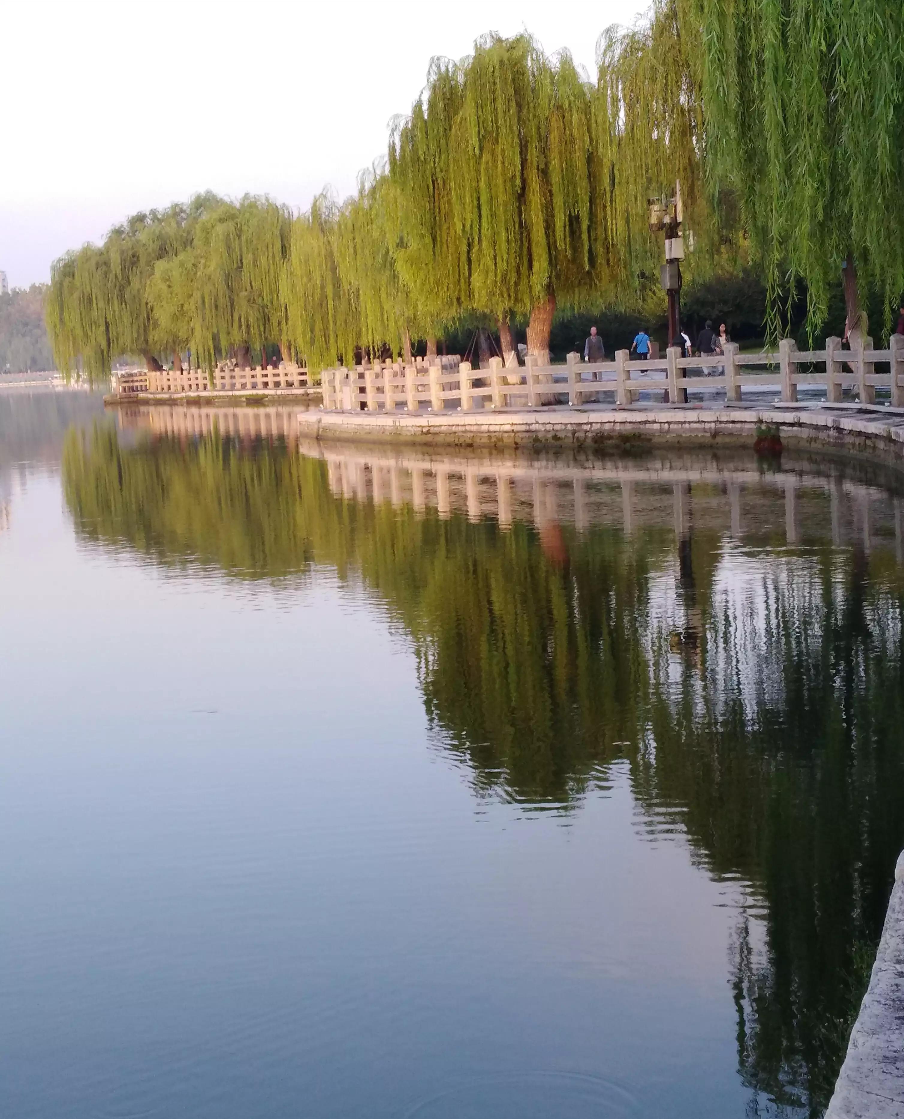 多彩的秋天绘本故事,多彩的秋天绘画