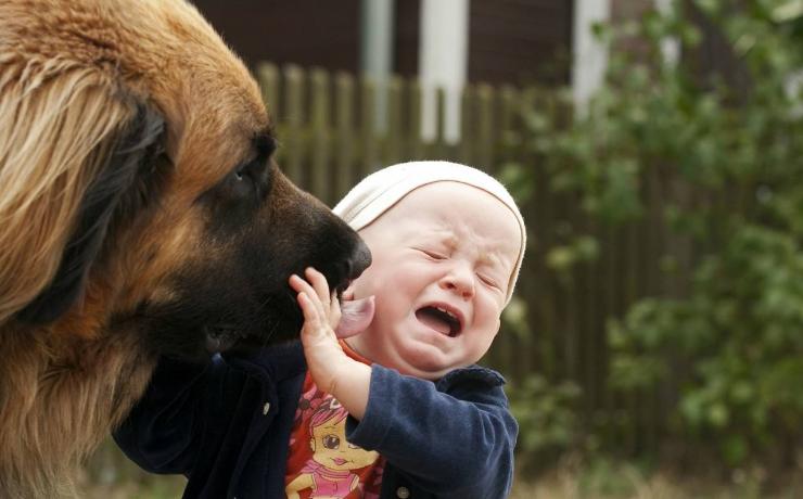 小时候被吓到有心理阴影怎么办,小时候受到惊吓怎么解决