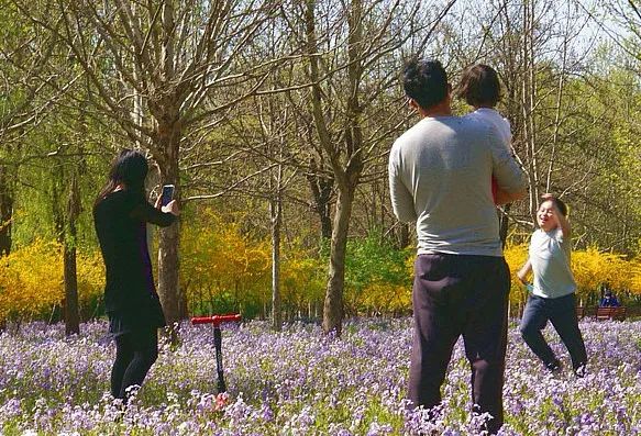 北京戒台寺郊野公园,北京燕山东岭郊野公园