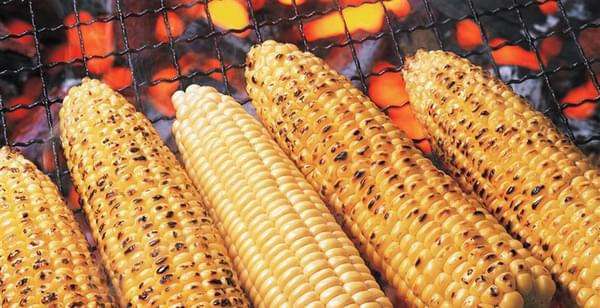 新奇水果玉米,新奇特水果合集