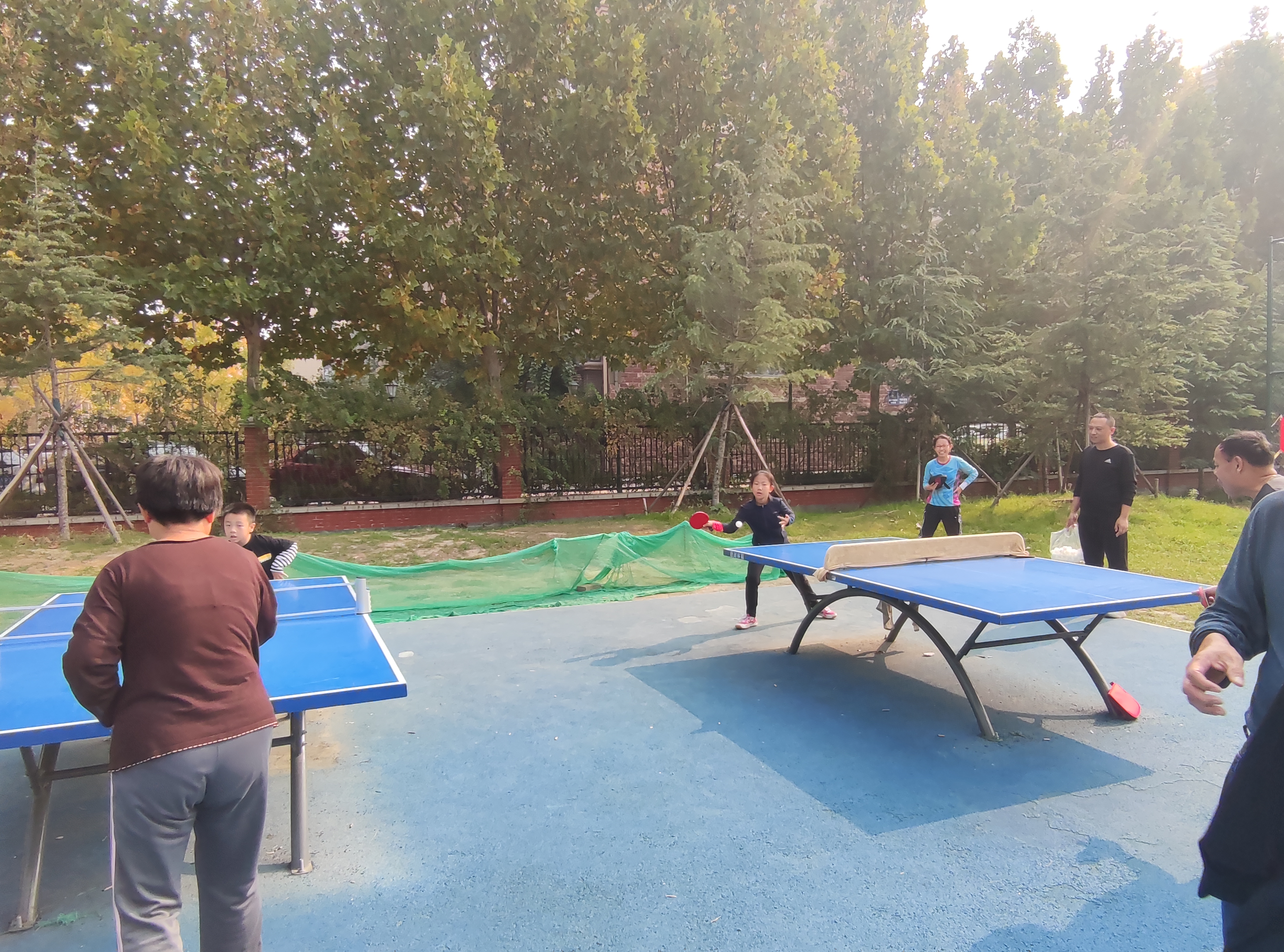 体育走进生活全民共享乐趣,体育职业技能实践