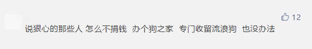 一律毒杀！缅甸小镇，政府下令毒杀流浪狗，中毒流浪狗满嘴血