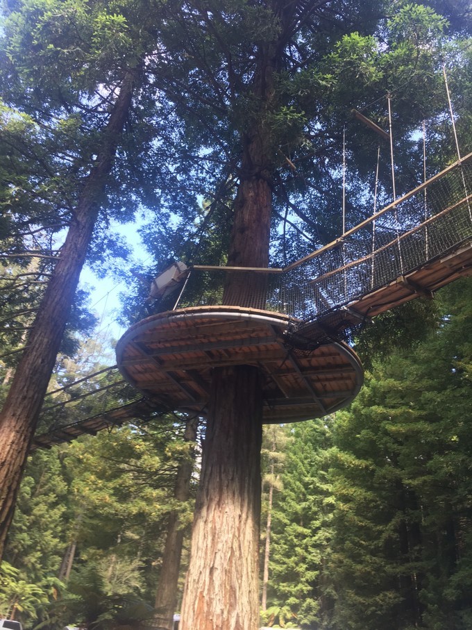 让你不用出门欣赏到美丽的风景,让你不出门你会待几天