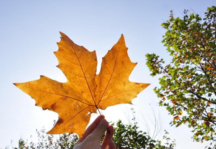 加拿大专科college,加拿大college相当于大专吗