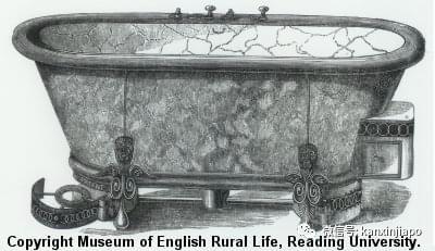 变态白老鼠,野外的白老鼠