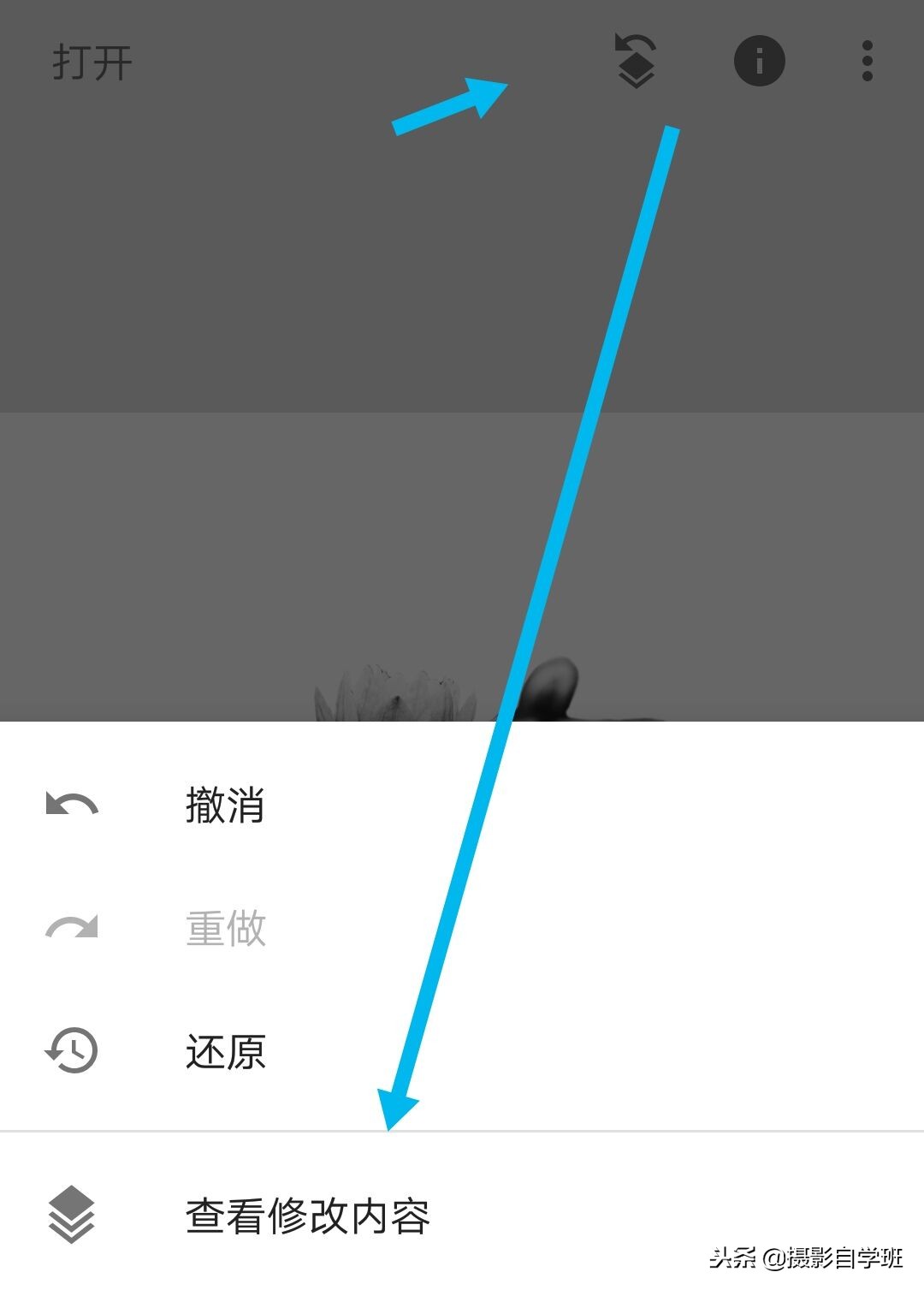 国画摄影照片,摄影怎么把图片弄成水墨画