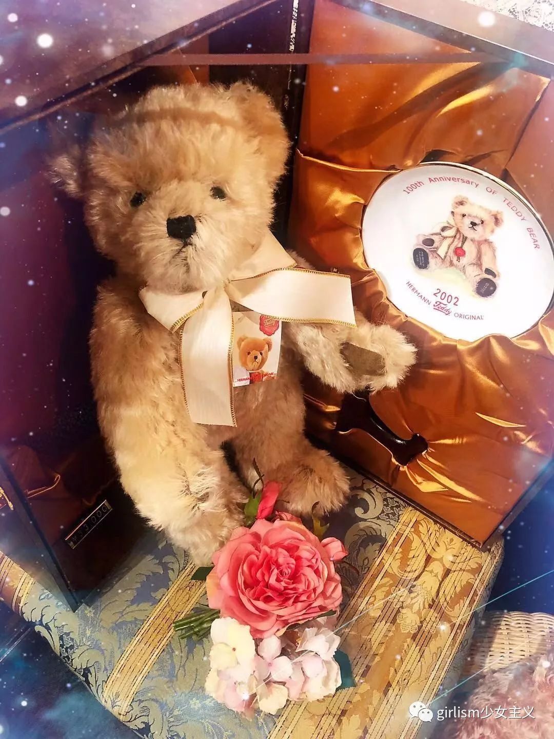 世界上最美丽的泰迪熊,最可爱的泰迪熊