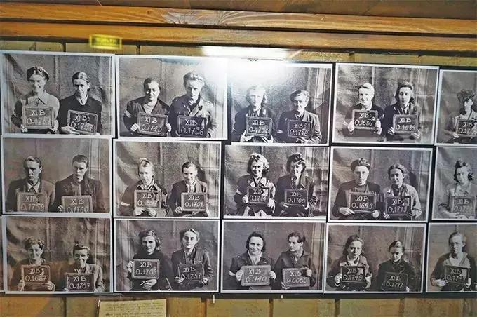 祖国诗歌原文,祖国诗歌有哪些