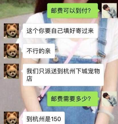 分享在咸鱼转转等二手平台上买狗狗的4种套路，80%的人都会被坑