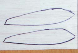 天才小钓手海钓,天才小钓手日本动画