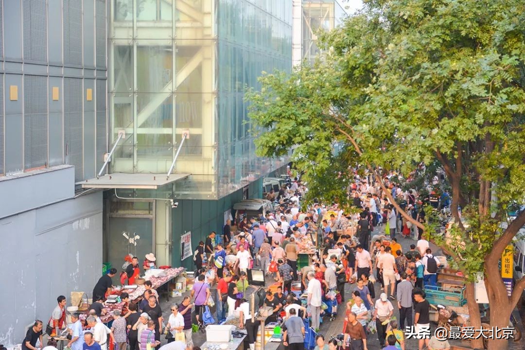 带你逛北京最大早市,北京正宗早市推荐