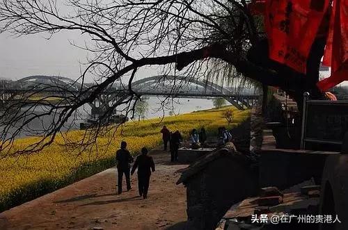 河南省城建税减半政策,洛阳的城建在河南省怎么样