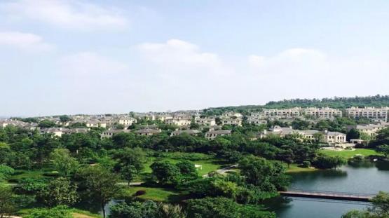 一个藏在成北富豪们心里十年的痛