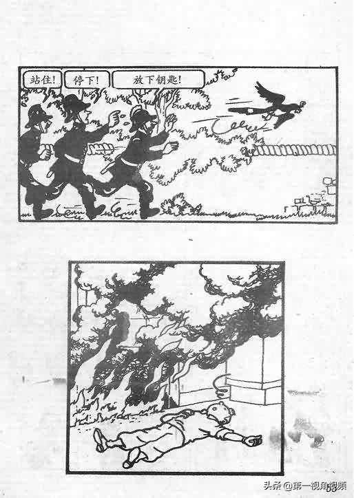 丁丁历险记刚果完整版,丁丁历险记西藏