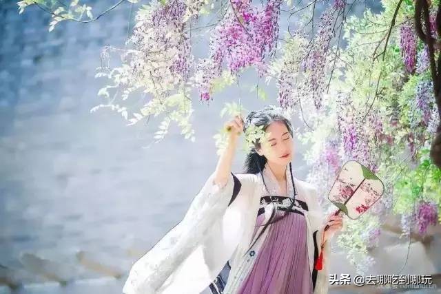 最新元旦增城大埔围花海门票,增城大埔围花海樱花节门票