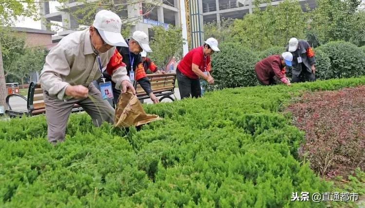 大荔赵贤若,大荔劳模赵贤若