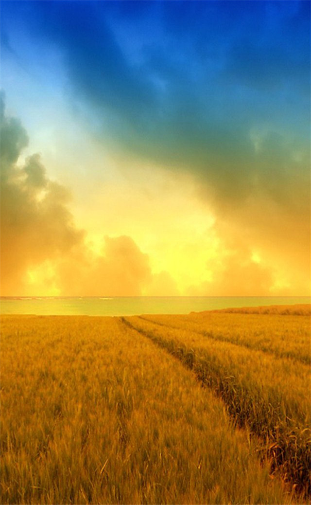 缓解眼睛疲劳动态图壁纸,好看的手机壁纸护眼高清图文