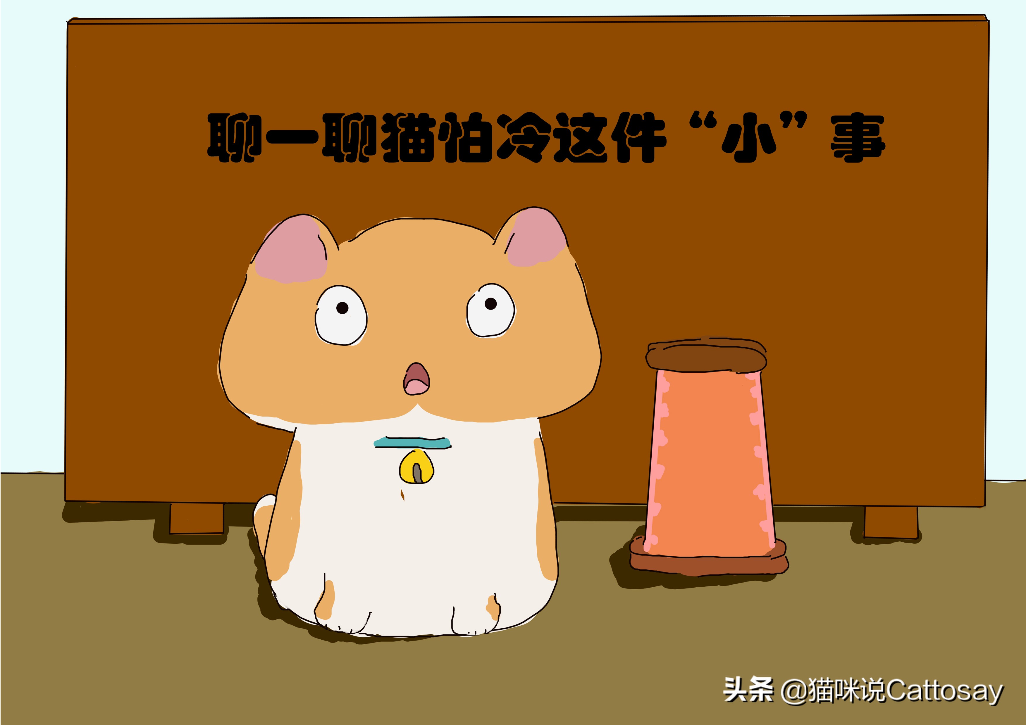 猫冬天怕冷吗需要做保暖措施吗,猫为什么怕冷怎么保暖