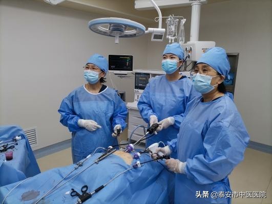 中医优势病种诊疗精要,中医特有专长和新中医专长