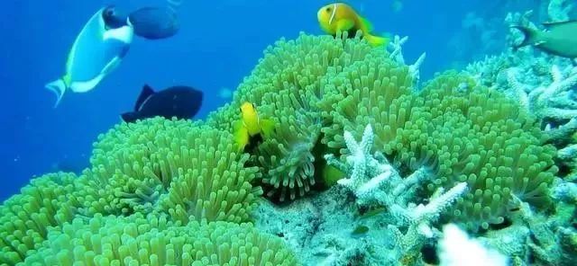 印度洋在哪地理位置,印度洋的地理简介