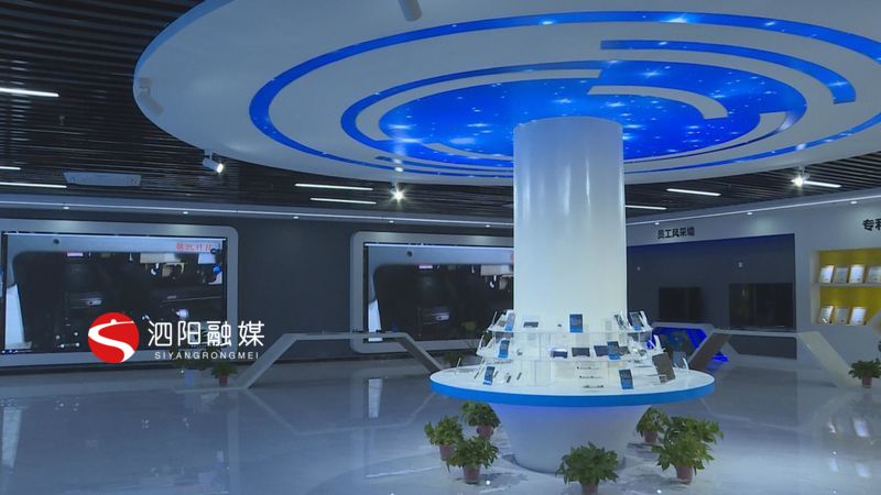 泗阳工业产业园,泗阳支柱产业园