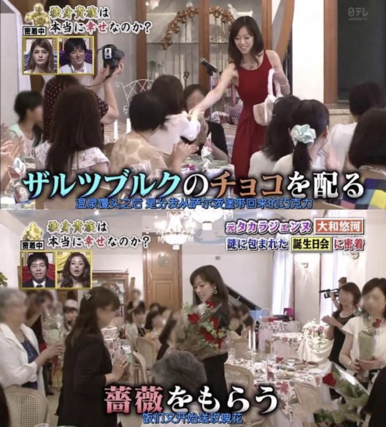 宝冢歌剧团top简介,宝冢歌剧团5位首席