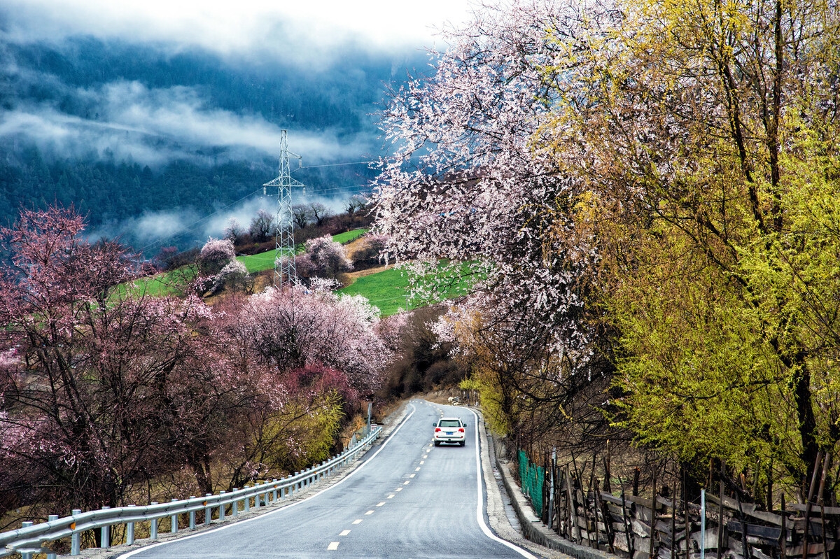 春季自驾游最美路线推荐,春季适合自驾游路线推荐