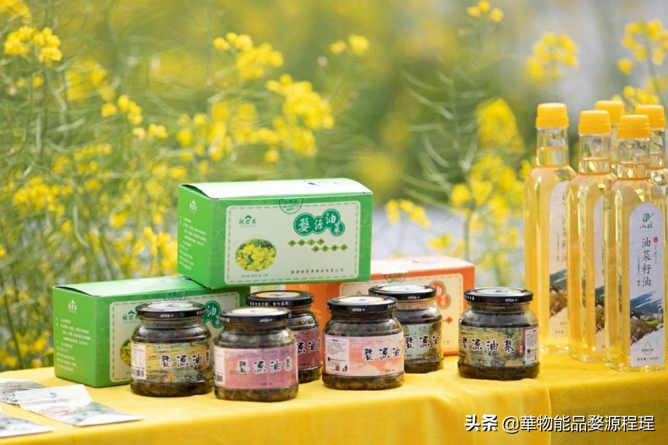 江西婺源油菜花音乐节,婺源油菜花文化节