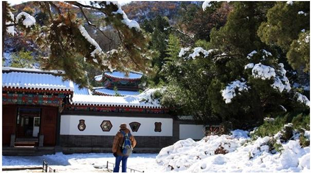 北京香山公园风景视频,北京香山公园