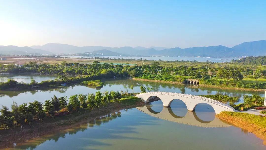 深圳花海公园地址在哪里,深圳中心河公园花海