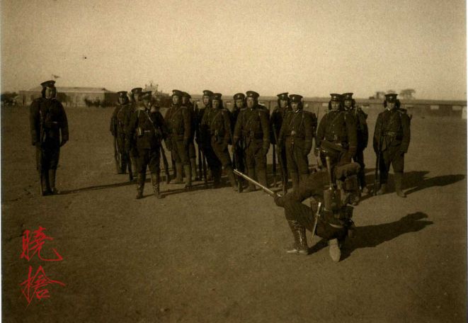 甲午战争时的中国陆军,甲午战争后日本海军购买军舰