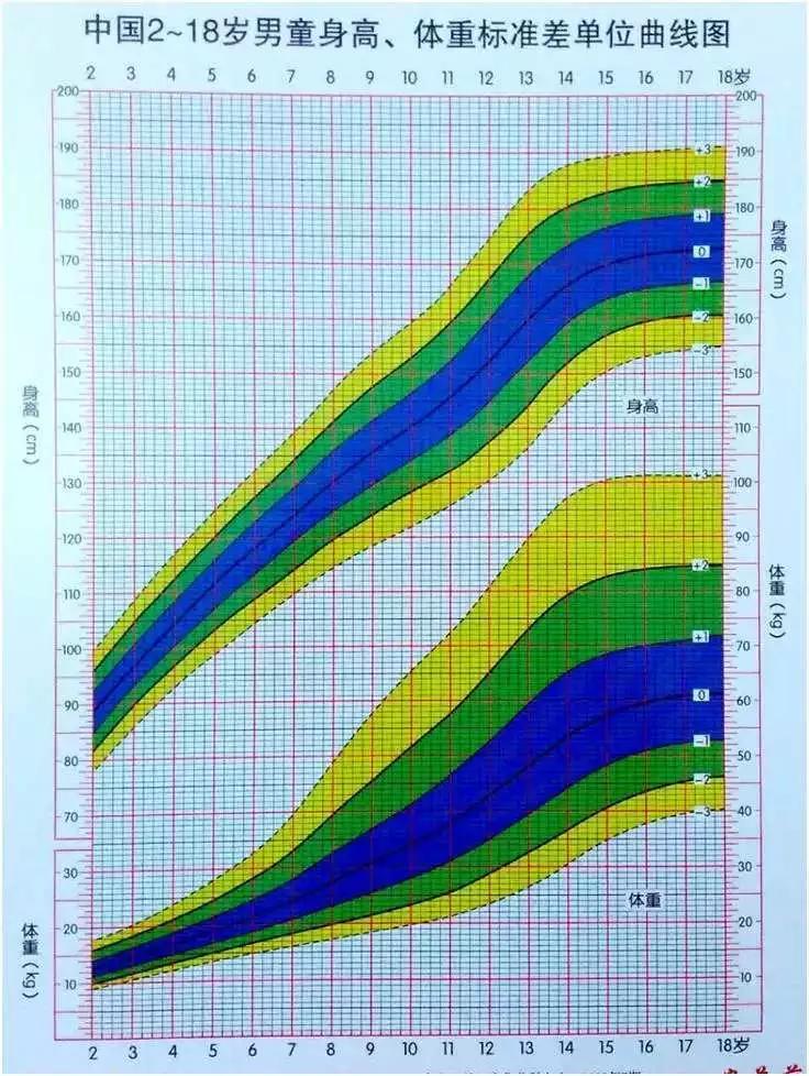 开学了长高,长高要趁早