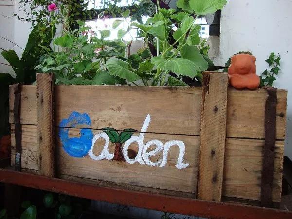 这些废品不要扔都是养花的宝贝,不要的洞洞鞋