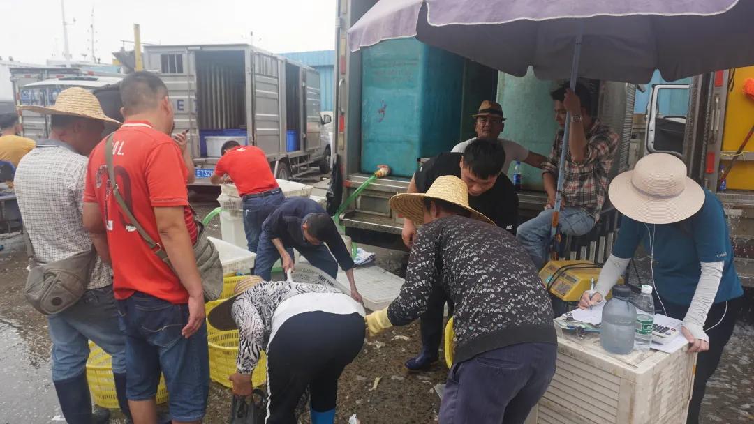 去菜市场吧！|黄沙，负名之下书尽鲜活百态