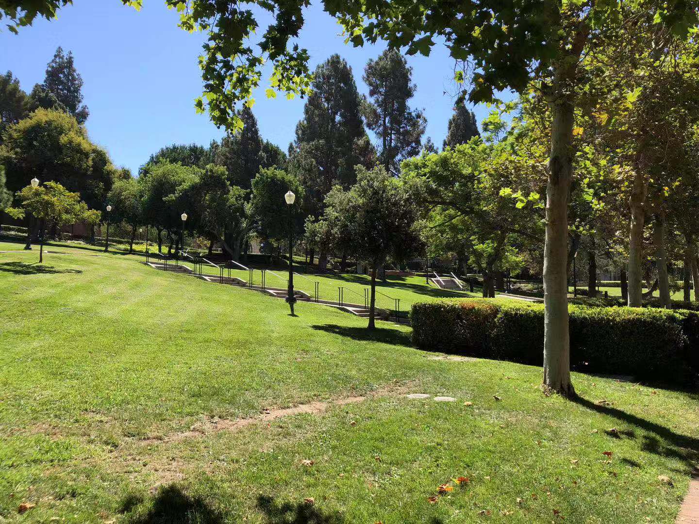 圣路易斯华盛顿大学优势专业,圣路易斯大学为什么世界排名不高