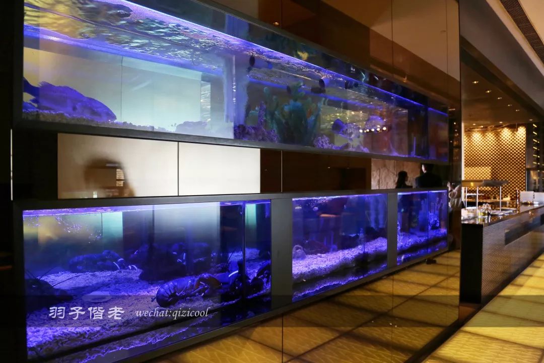 澳门新葡京酒店的美食指南，去澳门必打卡