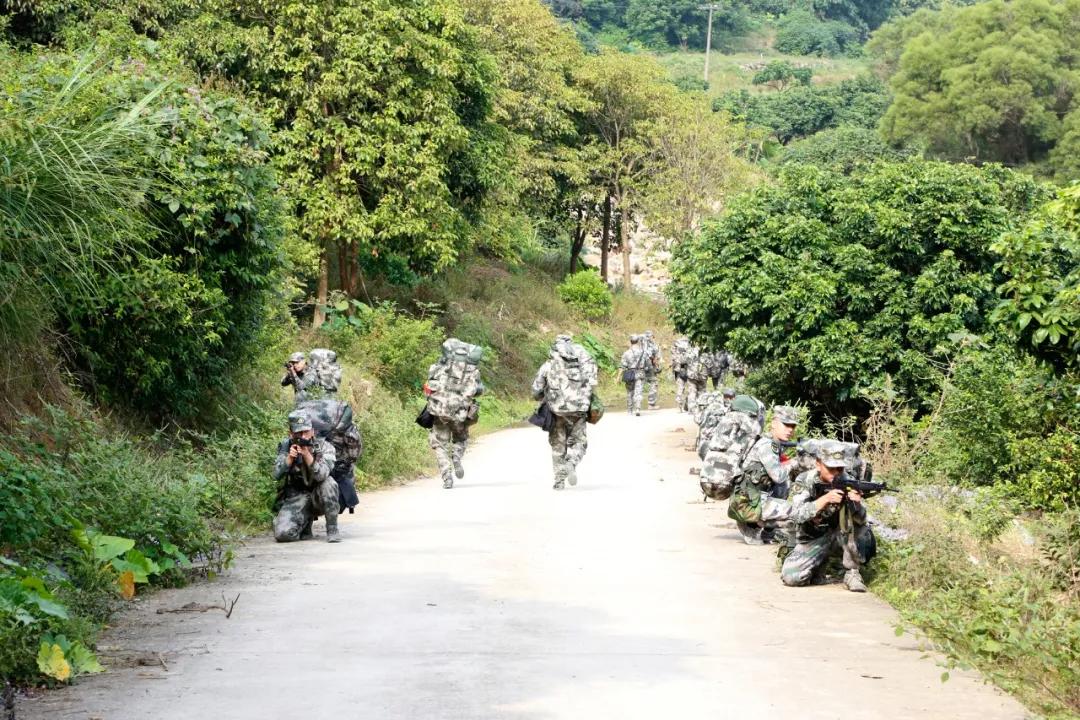 福建省军区民兵演习,战区部队的军事演练