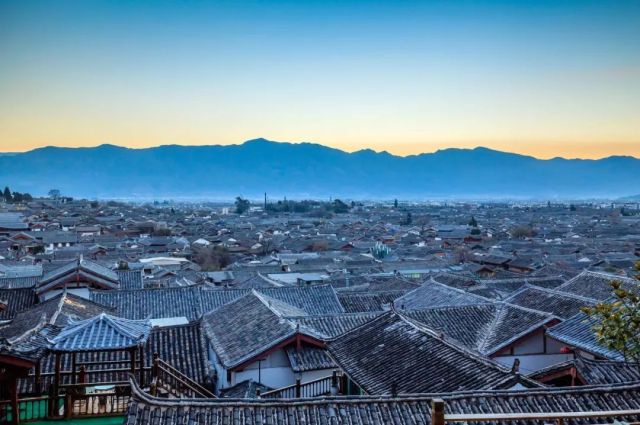 什么是云南品种,什么是云南的特色