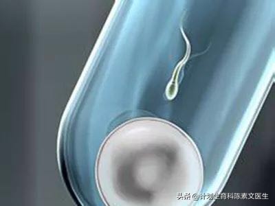 试管婴儿每个人都可以做吗,45岁做试管婴儿促排时注意事项